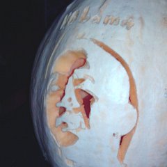 2010-10-23 20.36.23